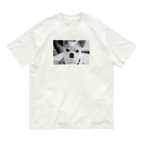 モノクロチワワ（おすまし） Organic Cotton T-Shirt