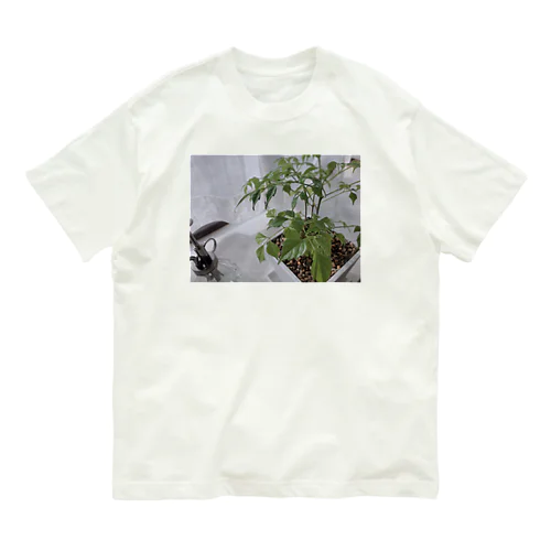 ぼくの草1 オーガニックコットンTシャツ