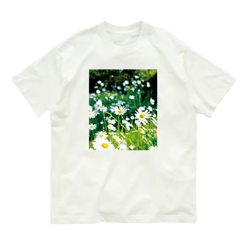 癒しの風景（シャスタデイジー） オーガニックコットンTシャツ