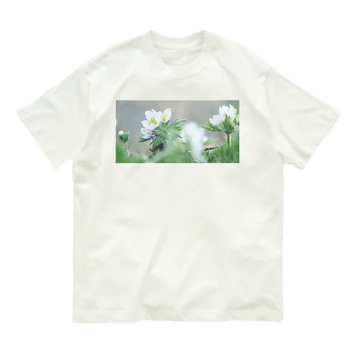 植物図鑑 ハクサンイチゲ② Organic Cotton T-Shirt