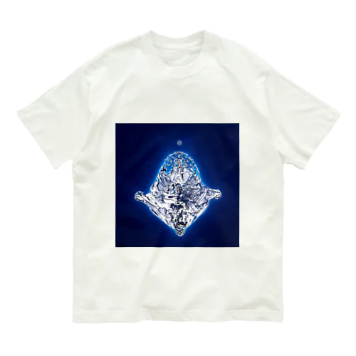 Perception オーガニックコットンTシャツ