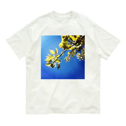 プラム Organic Cotton T-Shirt