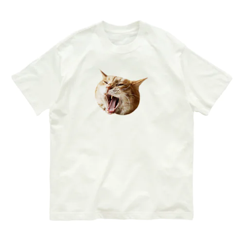 Screaming Shimashima Organic Cotton T-Shirt