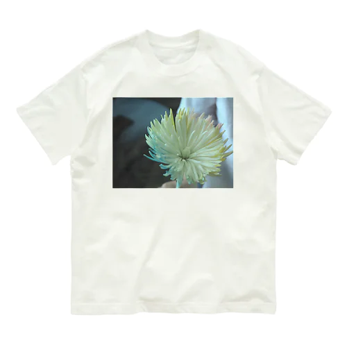 COLOR Organic Cotton T-Shirt