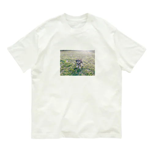 春の犬 オーガニックコットンTシャツ