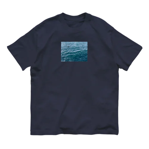 江ノ島の海 Organic Cotton T-Shirt