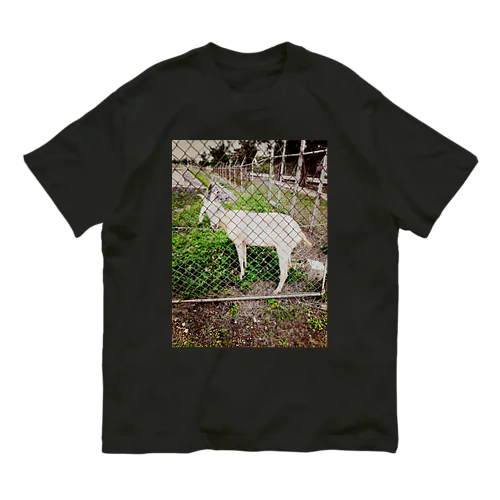 ヤギが見てくる Organic Cotton T-Shirt
