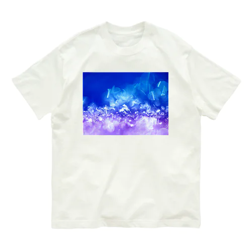 ICE オーガニックコットンTシャツ