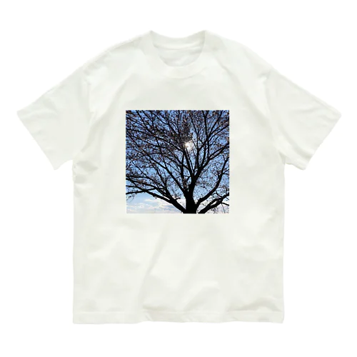 桜と光。 Organic Cotton T-Shirt