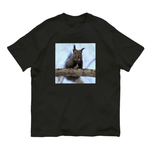 【サロベツのエゾリス】今日もせっせと働きます Organic Cotton T-Shirt