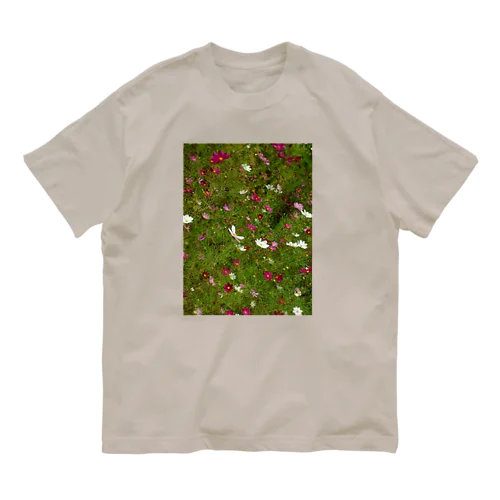 201408311255000　風の中の秋桜 Organic Cotton T-Shirt