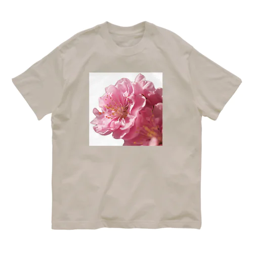 儚くて ピンクの花 オーガニックコットンTシャツ