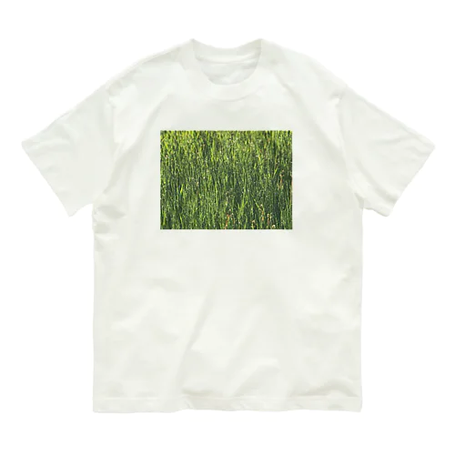 201905291758002　雨上がり Organic Cotton T-Shirt