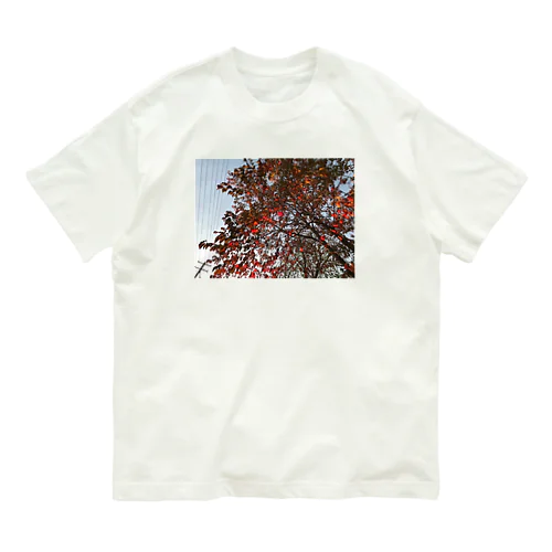 201910181619002　桜の紅葉 オーガニックコットンTシャツ