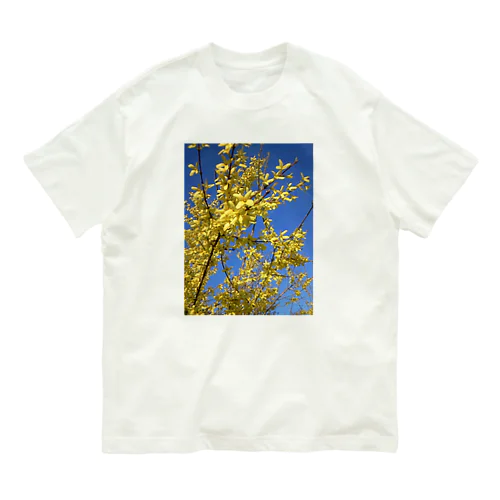 200905151652000　連翹が咲いた Organic Cotton T-Shirt