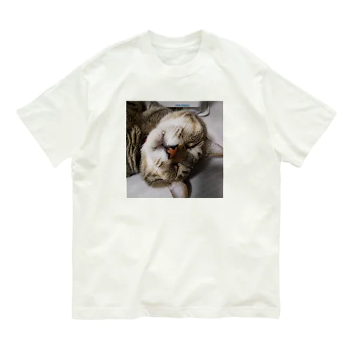 おでぶ猫こころくん Organic Cotton T-Shirt