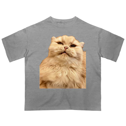 怒る猫 Oversized T-Shirt