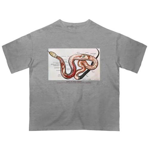 ヘビの解剖 オーバーサイズTシャツ
