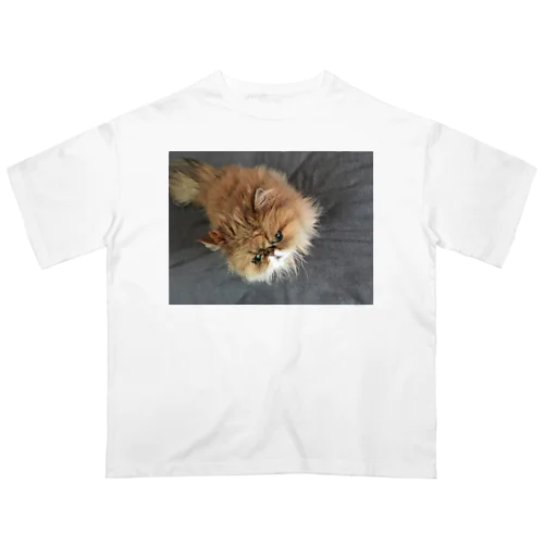ぶちゃ猫・茶々丸 オーバーサイズTシャツ