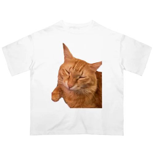 ネムネム我が家のお猫様 オーバーサイズTシャツ