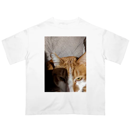 寝起きを撮られた猫 オーバーサイズTシャツ