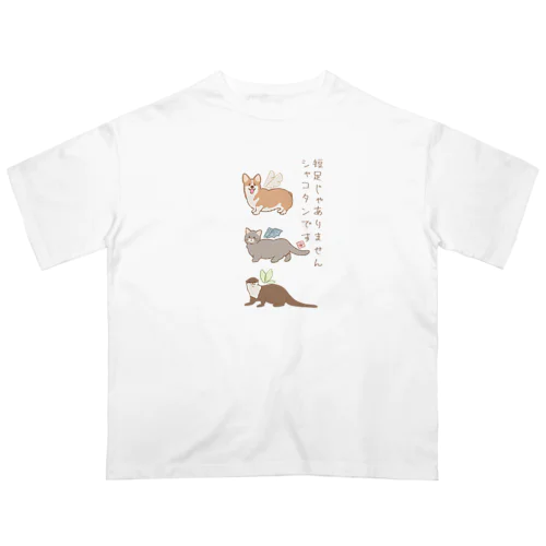 短足じゃありません🐾シャコタンです🐾 オーバーサイズTシャツ