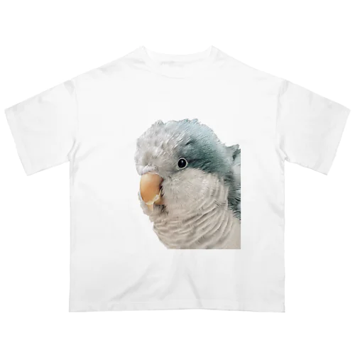 オキナインコの海砂利 Oversized T-Shirt