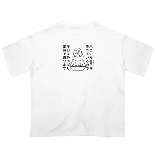 ハコ入りにゃんこ オーバーサイズTシャツ