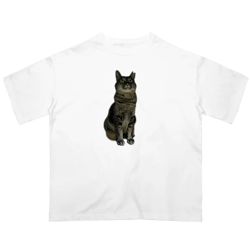 びっくり猫シリーズ オーバーサイズTシャツ