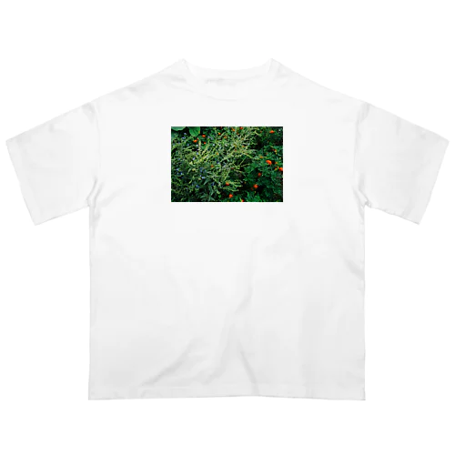 庭の花 Oversized T-Shirt