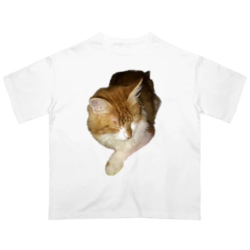 眠りネコちゃん🐈 オーバーサイズTシャツ