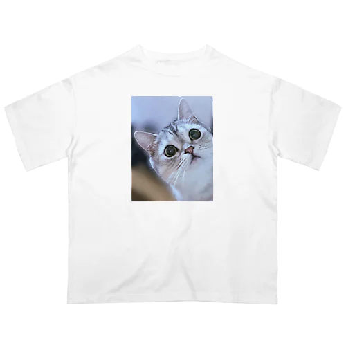 猫の名前はレオ オーバーサイズTシャツ