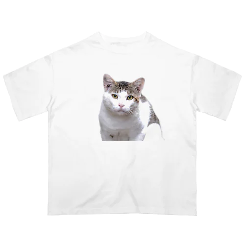 猫の写真の服 オーバーサイズTシャツ