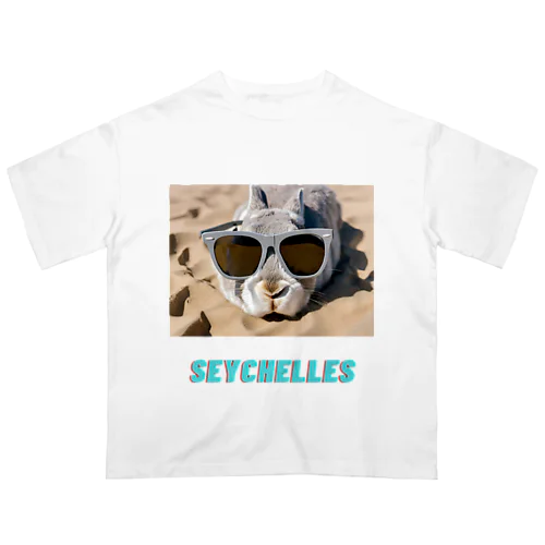 les Seychelles オーバーサイズTシャツ