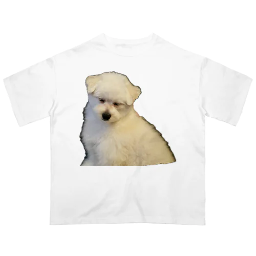 SLEEP DOG オーバーサイズTシャツ