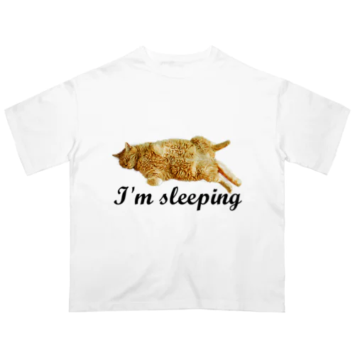 眠った猫グッズ2 オーバーサイズTシャツ