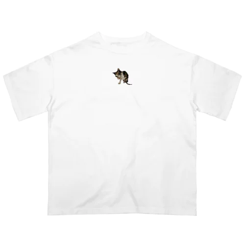 三毛猫（風呂上がり） オーバーサイズTシャツ