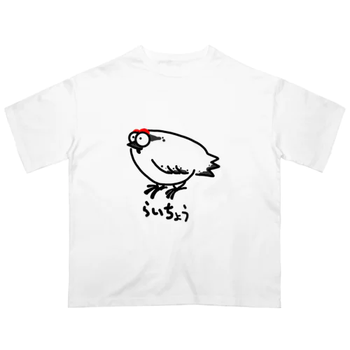 ライチョウ　オーバーサイズＴシャツ オーバーサイズTシャツ