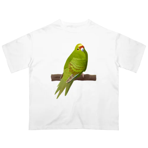 キガシラアオハシインコ(前面プリント) オーバーサイズTシャツ