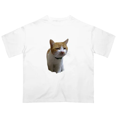 来ましたウザいやつ 2 オーバーサイズTシャツ