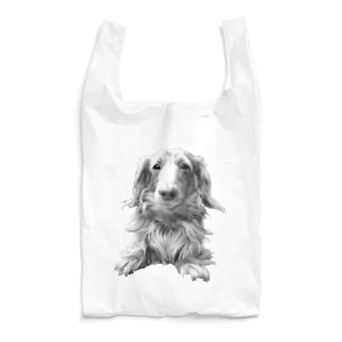 DOG-P Reusable Bag