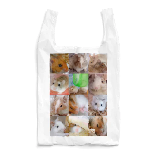 集合 Reusable Bag