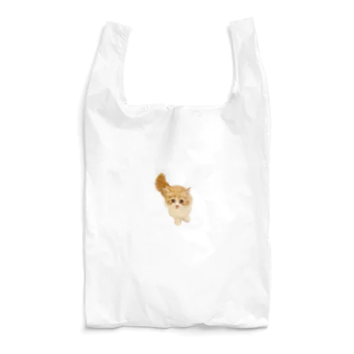 こっちをみるねこ Reusable Bag