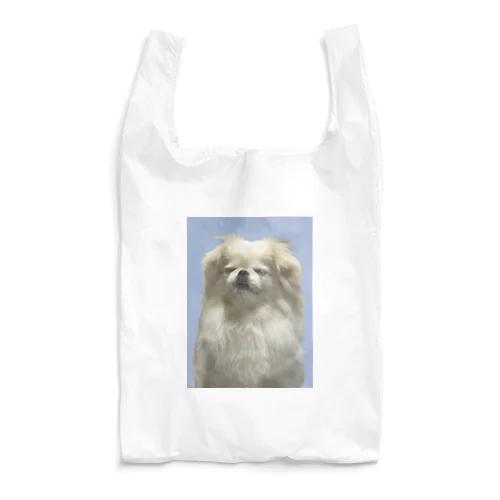 pepo Reusable Bag