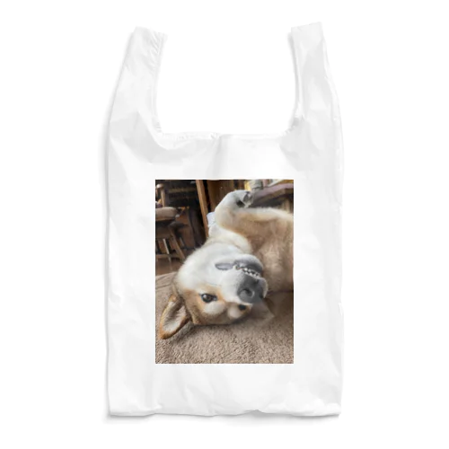 Mugi is Tanuki Reusable Bag