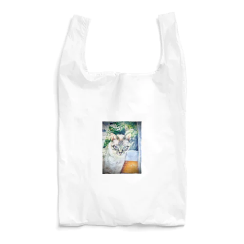 保護猫のカムイ君 Reusable Bag