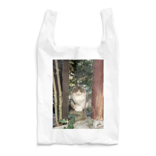 mofuneco4 Reusable Bag