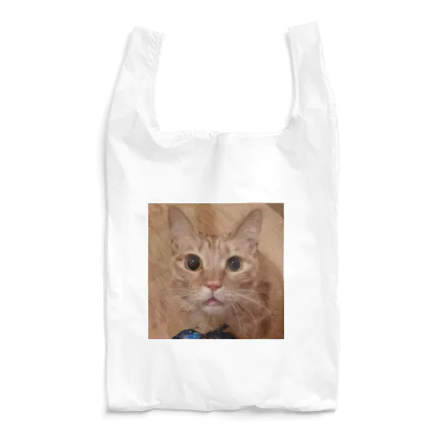 春くん Reusable Bag