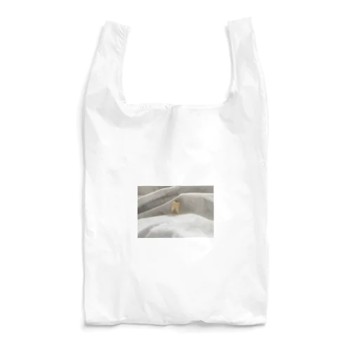 ちゃんかなの親知らず Reusable Bag