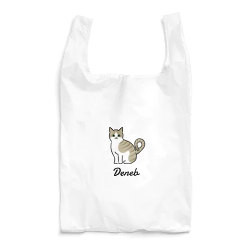 Deneb Reusable Bag